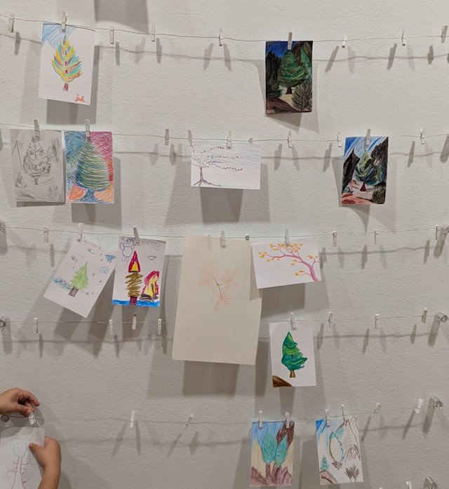 Rows of small drawings of trees clipped on horizontal strings